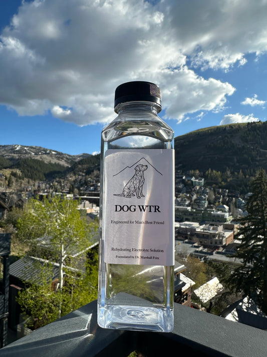 DOG WTR (Without Bowl)